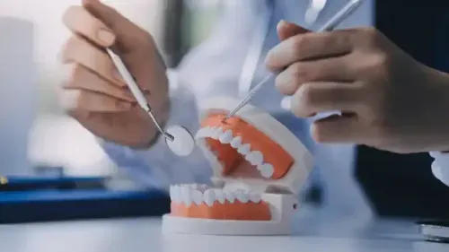 What is the Cost of Dental Cleaning?